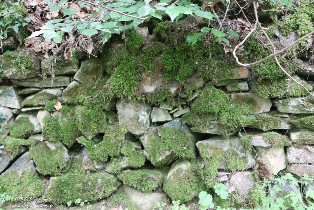 Philosophische Bildwanderung Vitaltour Wildgrafenweg - Hochstetten - Dhaun - Naheland - Rheinhessen