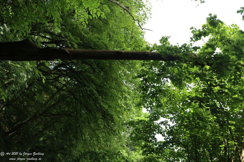Philosophische Bildwanderung Vitaltour Wildgrafenweg - Hochstetten - Dhaun - Naheland - Rheinhessen