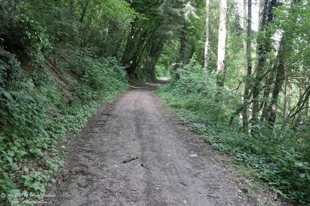 Philosophische Bildwanderung Vitaltour Wildgrafenweg - Hochstetten - Dhaun - Naheland - Rheinhessen