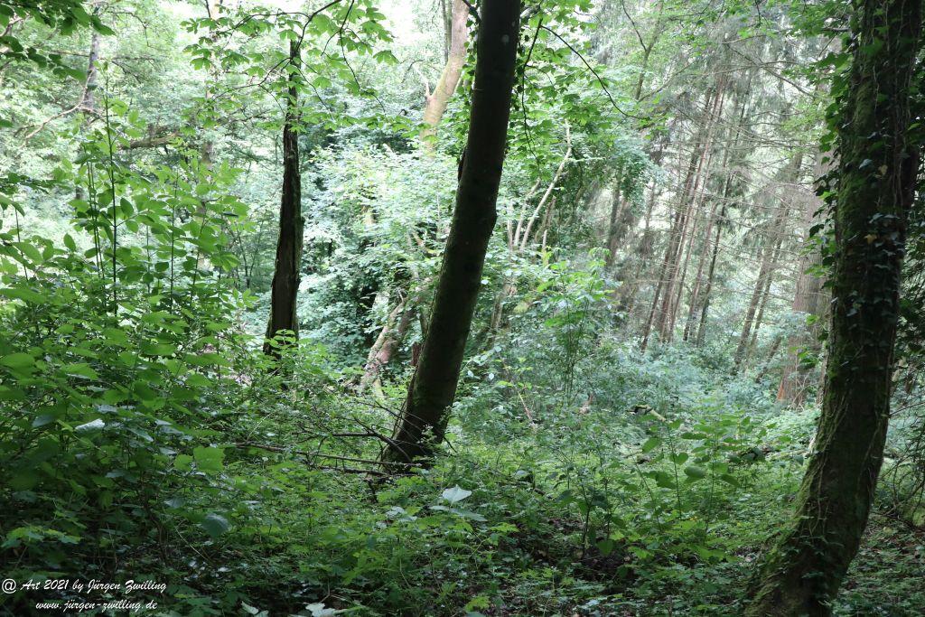 Philosophische Bildwanderung Vitaltour Wildgrafenweg - Hochstetten - Dhaun - Naheland - Rheinhessen