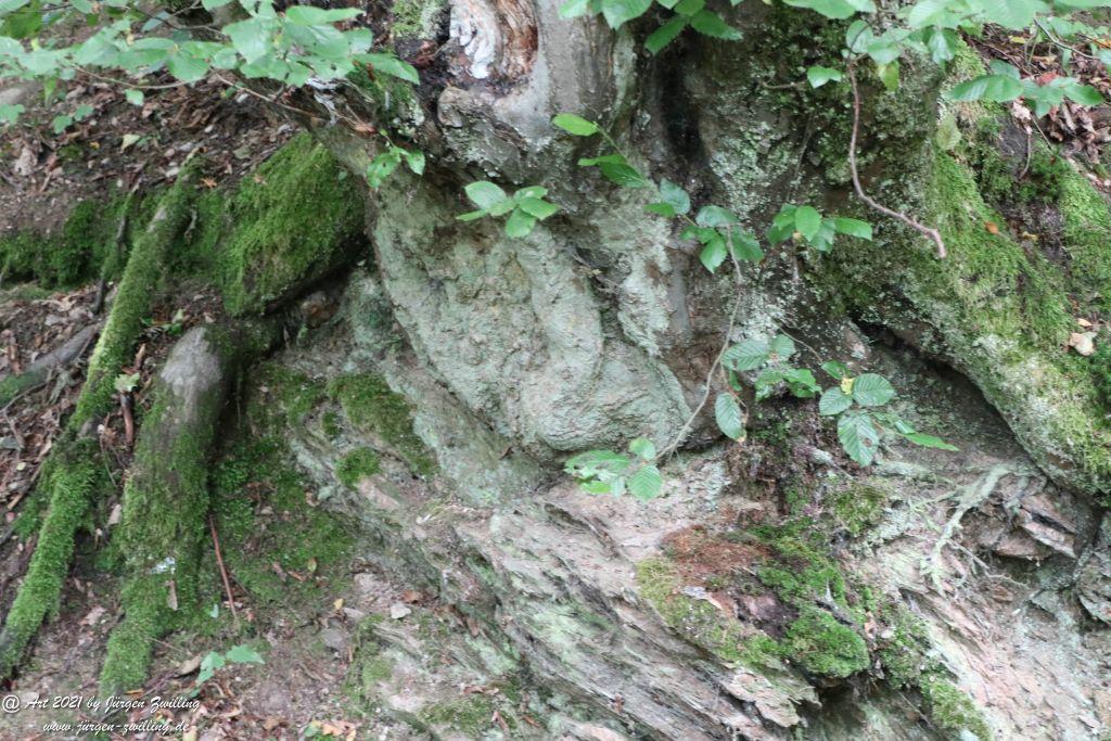 Philosophische Bildwanderung Vitaltour Wildgrafenweg - Hochstetten - Dhaun - Naheland - Rheinhessen