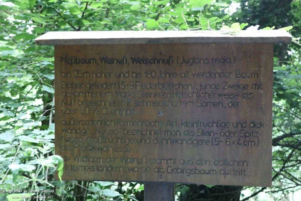 Philosophische Bildwanderung Vitaltour Wildgrafenweg - Hochstetten - Dhaun - Naheland - Rheinhessen