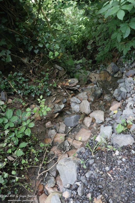 Philosophische Bildwanderung Vitaltour Wildgrafenweg - Hochstetten - Dhaun - Naheland - Rheinhessen