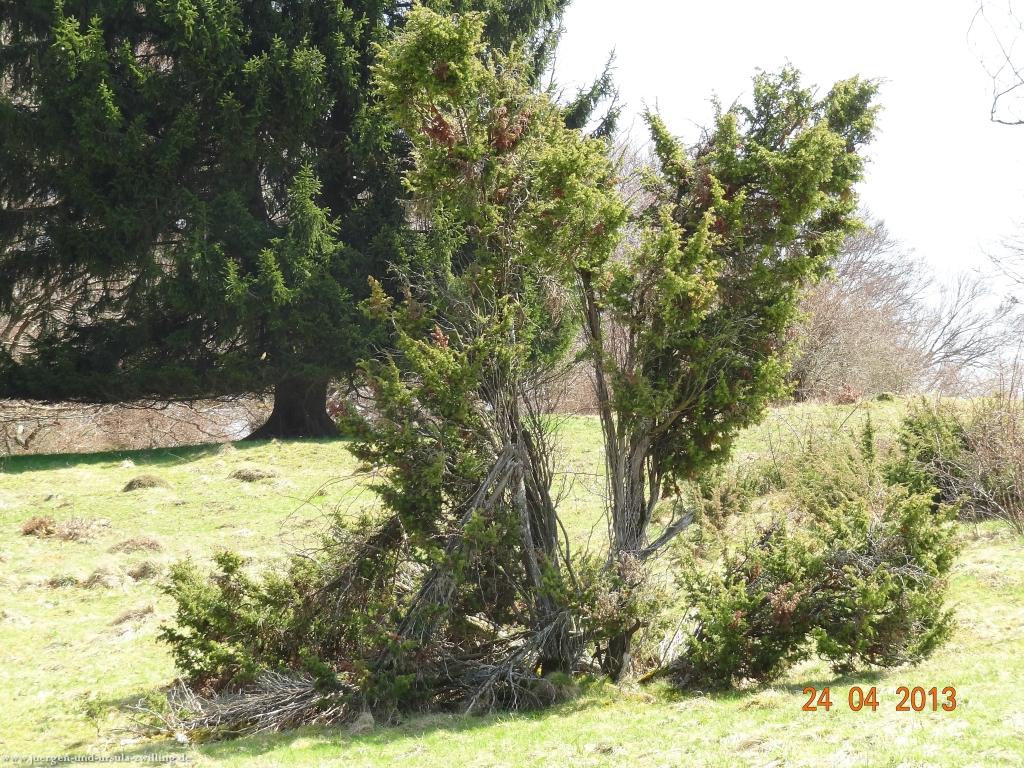 Philosophische Bildwanderung Traufgang-Schlossfelsenpfad