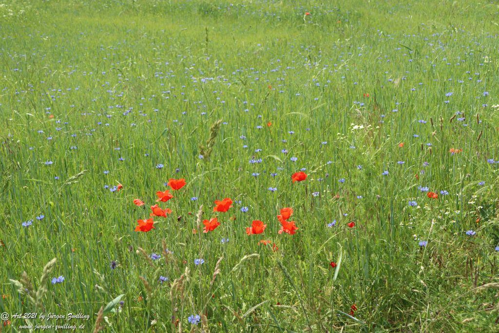 Philosophische Bildwanderung Vitaltour Wildgrafenweg - Hochstetten - Dhaun - Naheland - Rheinhessen