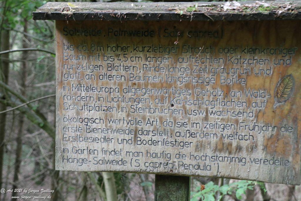 Philosophische Bildwanderung Vitaltour Wildgrafenweg - Hochstetten - Dhaun - Naheland - Rheinhessen