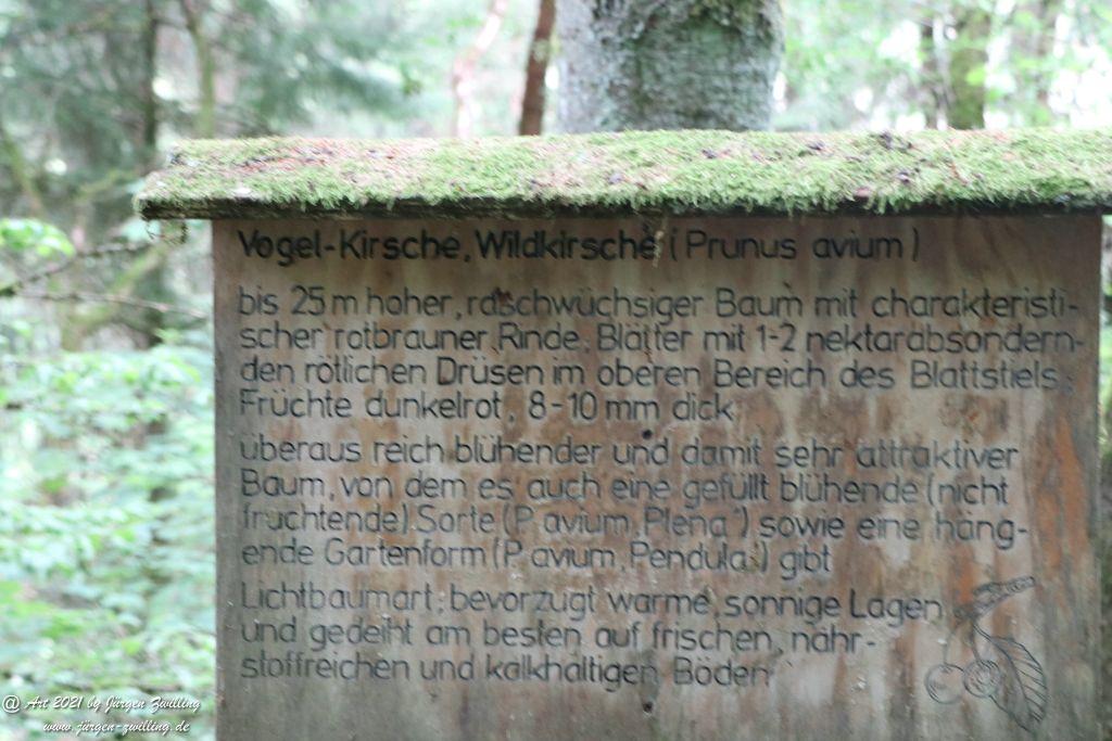 Philosophische Bildwanderung Vitaltour Wildgrafenweg - Hochstetten - Dhaun - Naheland - Rheinhessen