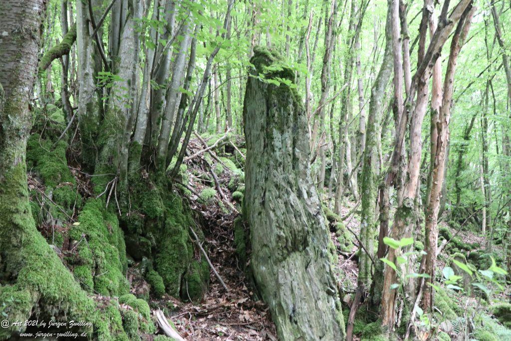 Philosophische Bildwanderung Vitaltour Wildgrafenweg - Hochstetten - Dhaun - Naheland - Rheinhessen