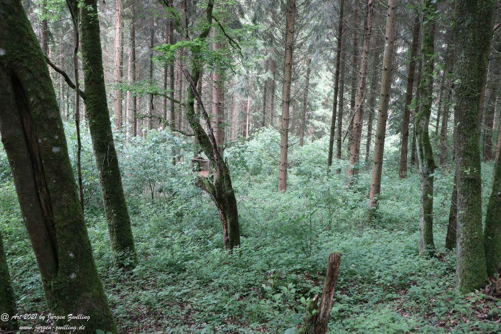Philosophische Bildwanderung Vitaltour Wildgrafenweg - Hochstetten - Dhaun - Naheland - Rheinhessen