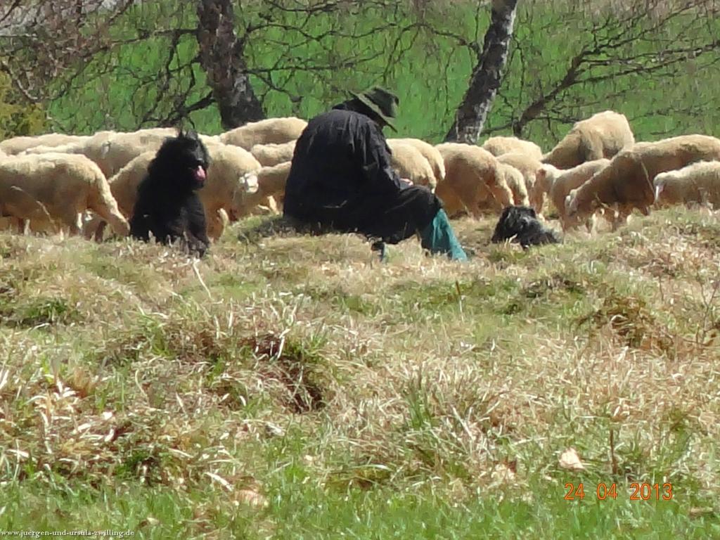 Philosophische Bildwanderung Traufgang-Schlossfelsenpfad