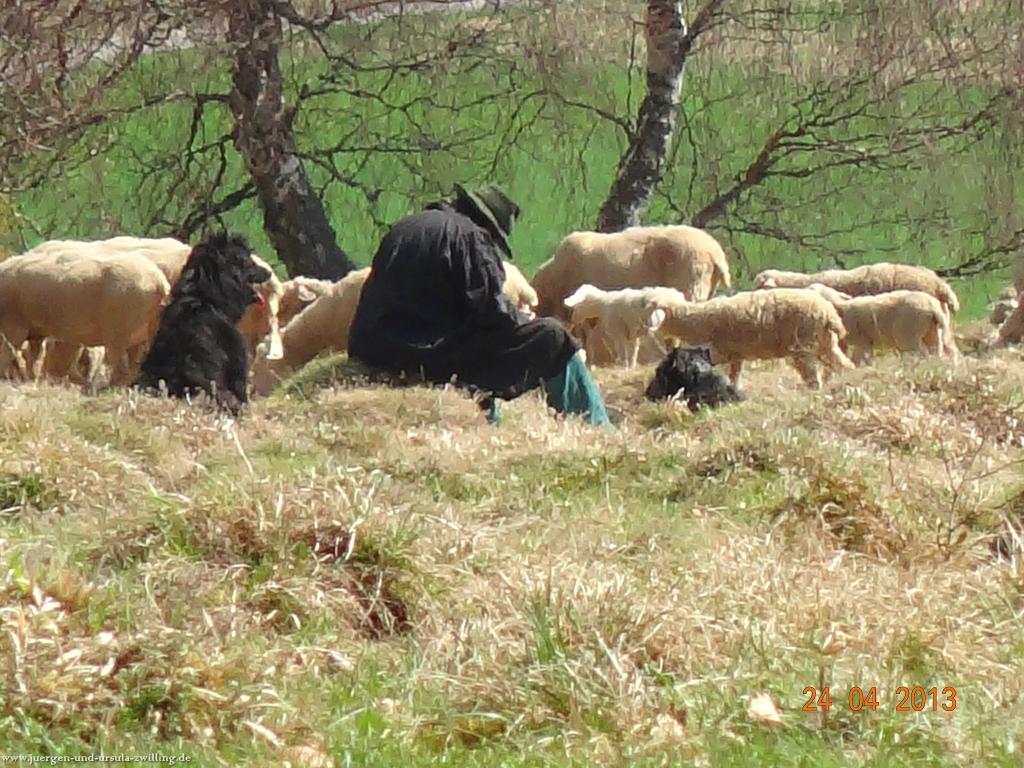 Philosophische Bildwanderung Traufgang-Schlossfelsenpfad