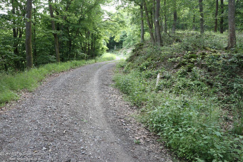 Philosophische Bildwanderung Vitaltour Wildgrafenweg - Hochstetten - Dhaun - Naheland - Rheinhessen