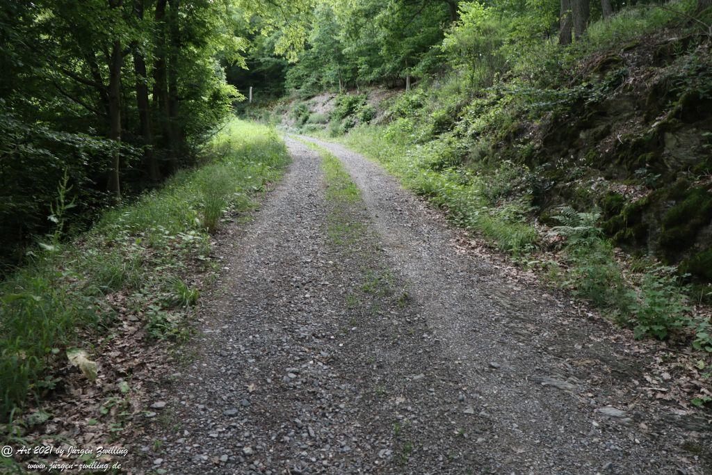 Philosophische Bildwanderung Vitaltour Wildgrafenweg - Hochstetten - Dhaun - Naheland - Rheinhessen