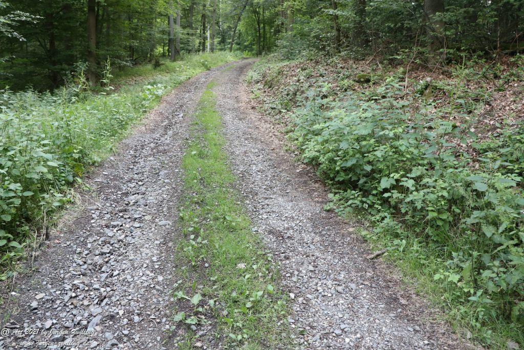 Philosophische Bildwanderung Vitaltour Wildgrafenweg - Hochstetten - Dhaun - Naheland - Rheinhessen