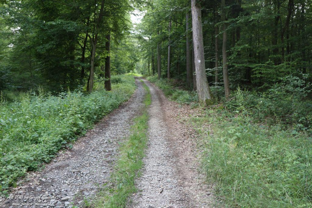 Philosophische Bildwanderung Vitaltour Wildgrafenweg - Hochstetten - Dhaun - Naheland - Rheinhessen