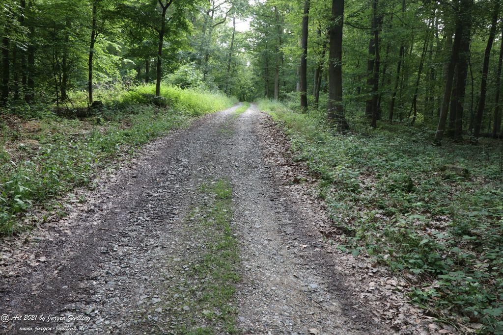 Philosophische Bildwanderung Vitaltour Wildgrafenweg - Hochstetten - Dhaun - Naheland - Rheinhessen