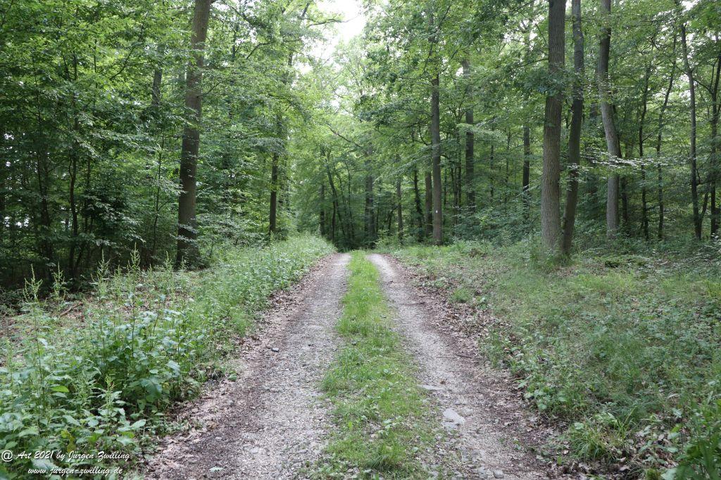 Philosophische Bildwanderung Vitaltour Wildgrafenweg - Hochstetten - Dhaun - Naheland - Rheinhessen