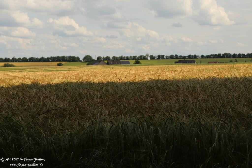 Philosophische Bildwanderung Vitaltour Wildgrafenweg - Hochstetten - Dhaun - Naheland - Rheinhessen