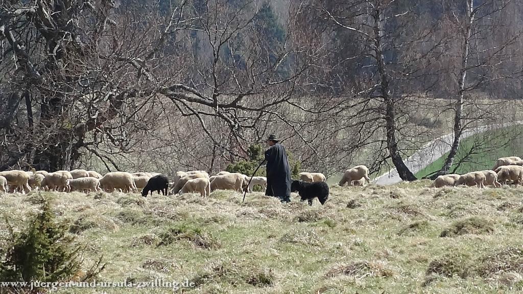 Philosophische Bildwanderung Traufgang-Schlossfelsenpfad