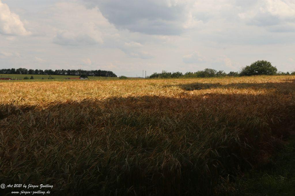 Philosophische Bildwanderung Vitaltour Wildgrafenweg - Hochstetten - Dhaun - Naheland - Rheinhessen