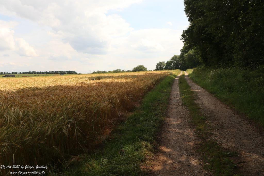 Philosophische Bildwanderung Vitaltour Wildgrafenweg - Hochstetten - Dhaun - Naheland - Rheinhessen