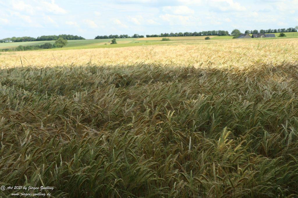 Philosophische Bildwanderung Vitaltour Wildgrafenweg - Hochstetten - Dhaun - Naheland - Rheinhessen