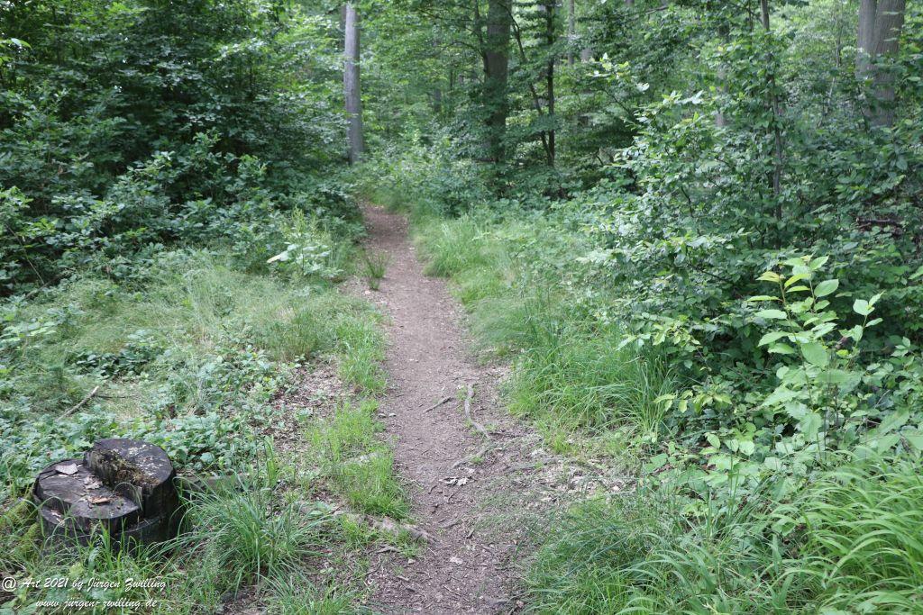 Philosophische Bildwanderung Vitaltour Wildgrafenweg - Hochstetten - Dhaun - Naheland - Rheinhessen