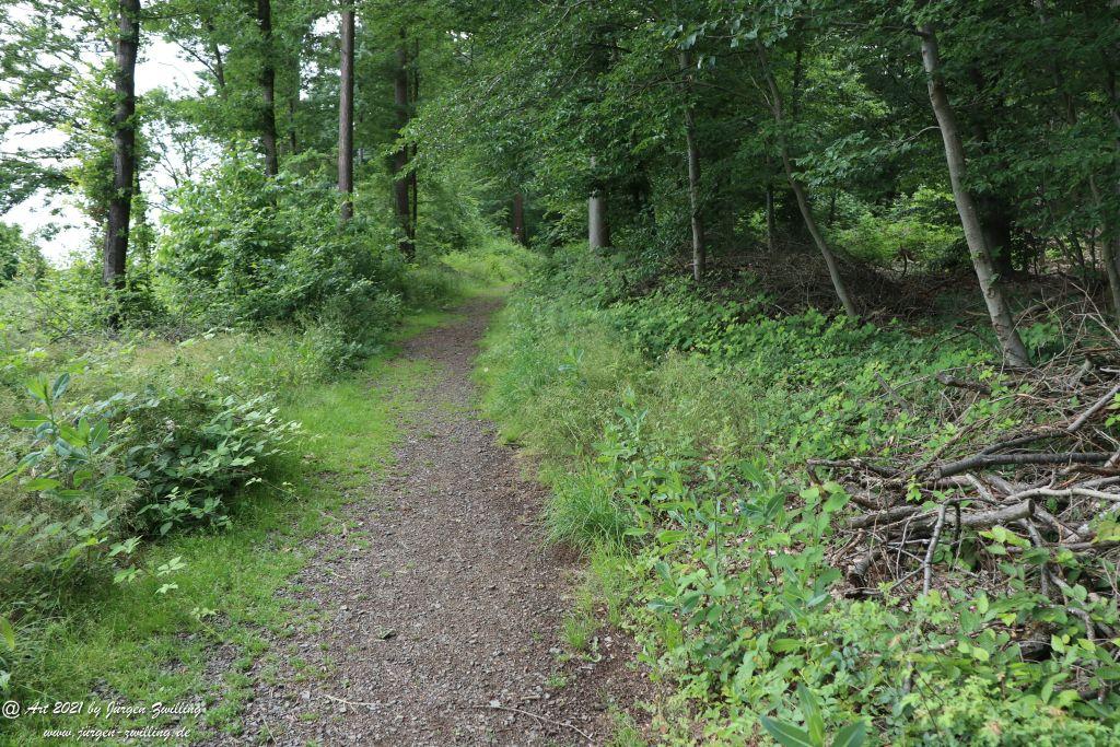 Philosophische Bildwanderung Vitaltour Wildgrafenweg - Hochstetten - Dhaun - Naheland - Rheinhessen