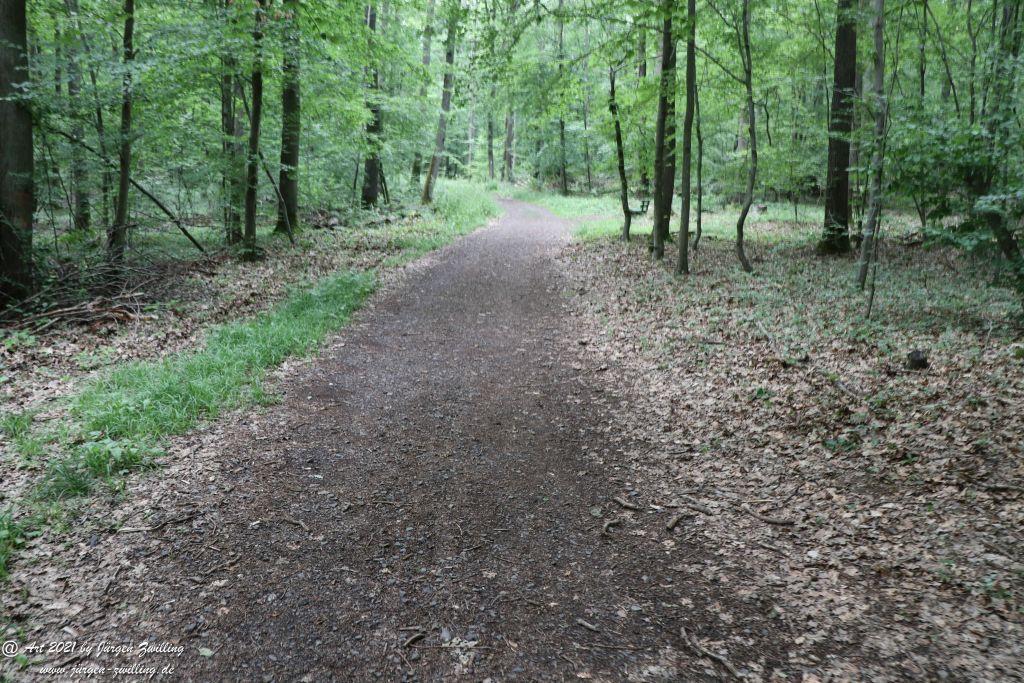 Philosophische Bildwanderung Vitaltour Wildgrafenweg - Hochstetten - Dhaun - Naheland - Rheinhessen