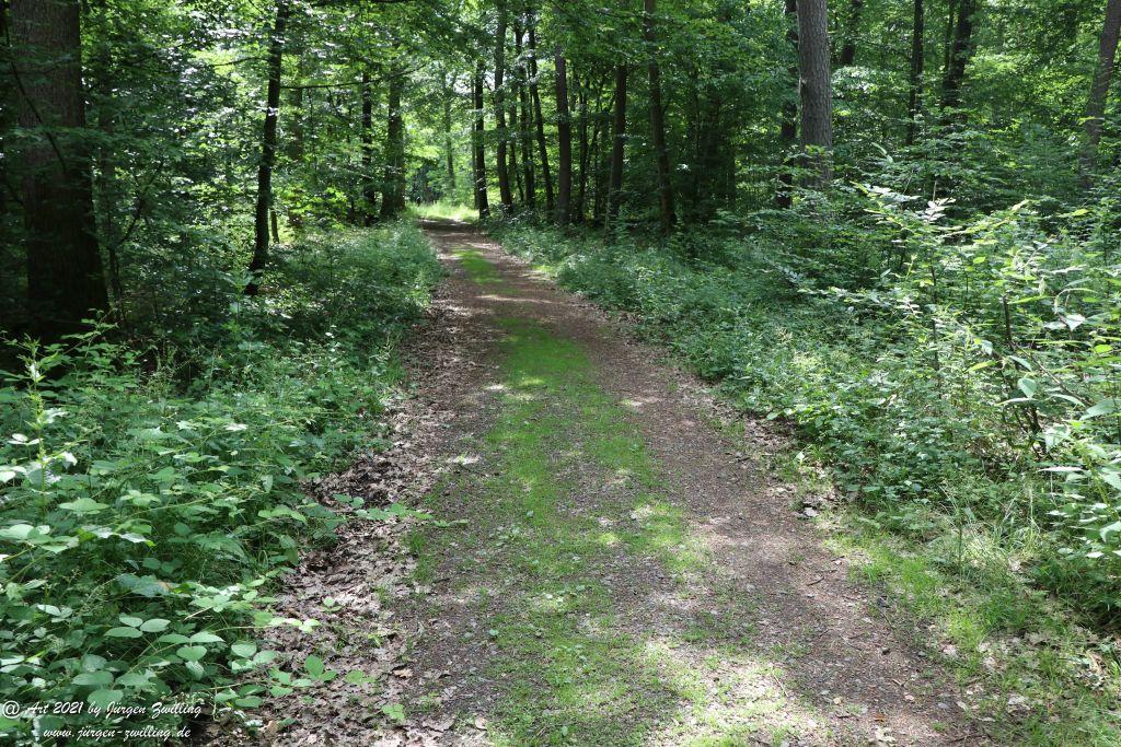 Philosophische Bildwanderung Vitaltour Wildgrafenweg - Hochstetten - Dhaun - Naheland - Rheinhessen