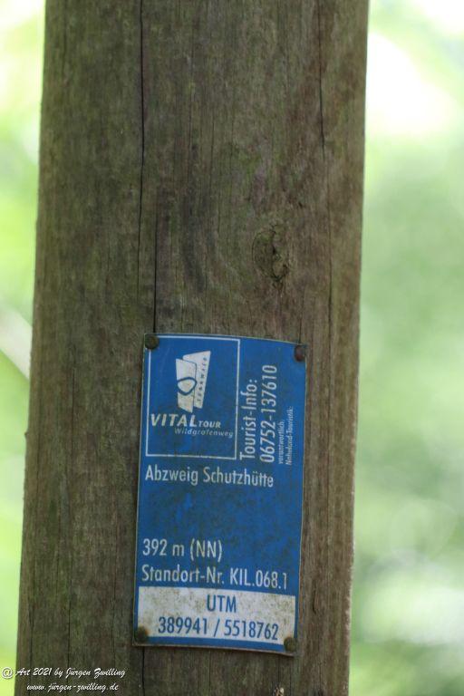 Philosophische Bildwanderung Vitaltour Wildgrafenweg - Hochstetten - Dhaun - Naheland - Rheinhessen