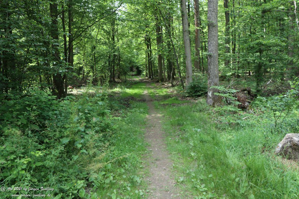 Philosophische Bildwanderung Vitaltour Wildgrafenweg - Hochstetten - Dhaun - Naheland - Rheinhessen