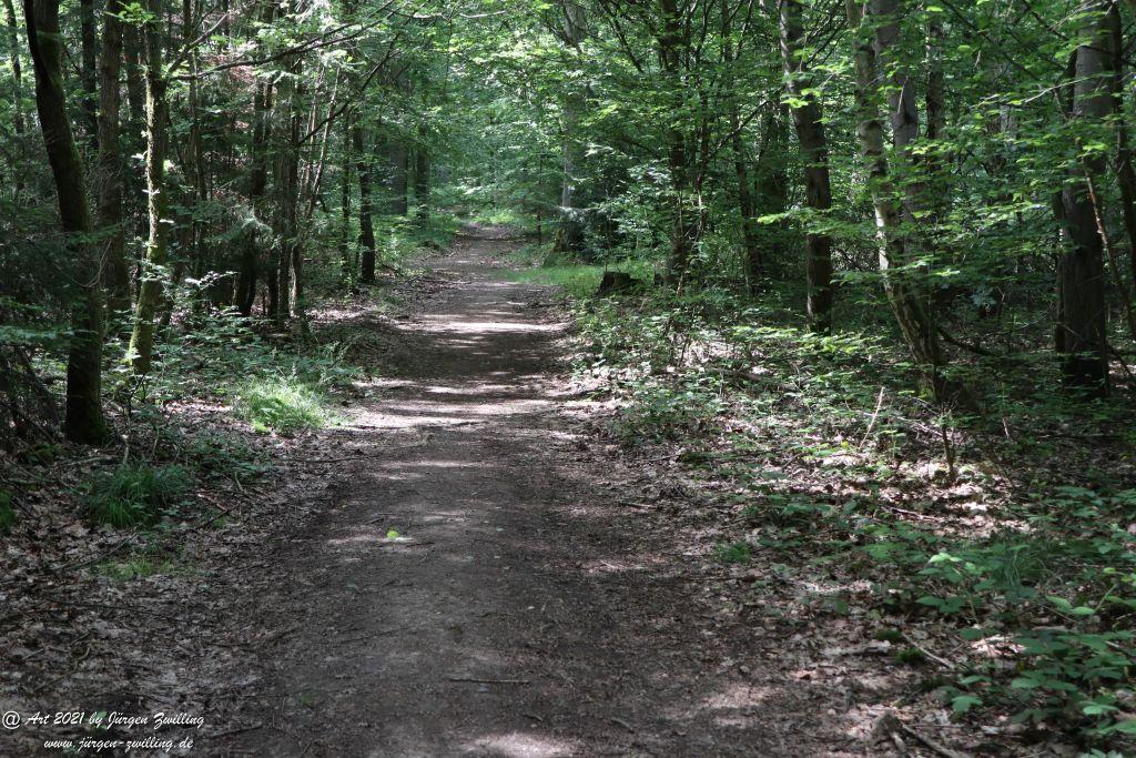 Philosophische Bildwanderung Vitaltour Wildgrafenweg - Hochstetten - Dhaun - Naheland - Rheinhessen
