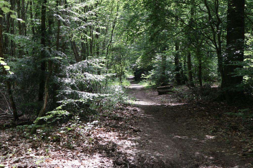 Philosophische Bildwanderung Vitaltour Wildgrafenweg - Hochstetten - Dhaun - Naheland - Rheinhessen