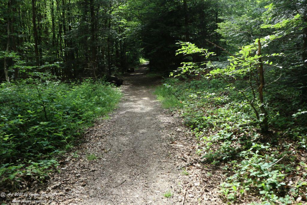 Philosophische Bildwanderung Vitaltour Wildgrafenweg - Hochstetten - Dhaun - Naheland - Rheinhessen