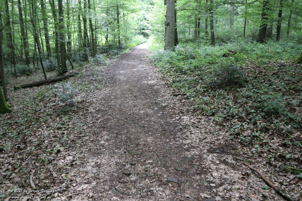 Philosophische Bildwanderung Vitaltour Wildgrafenweg - Hochstetten - Dhaun - Naheland - Rheinhessen