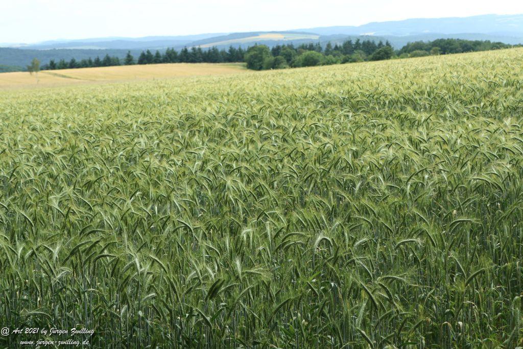 Philosophische Bildwanderung Vitaltour Wildgrafenweg - Hochstetten - Dhaun - Naheland - Rheinhessen