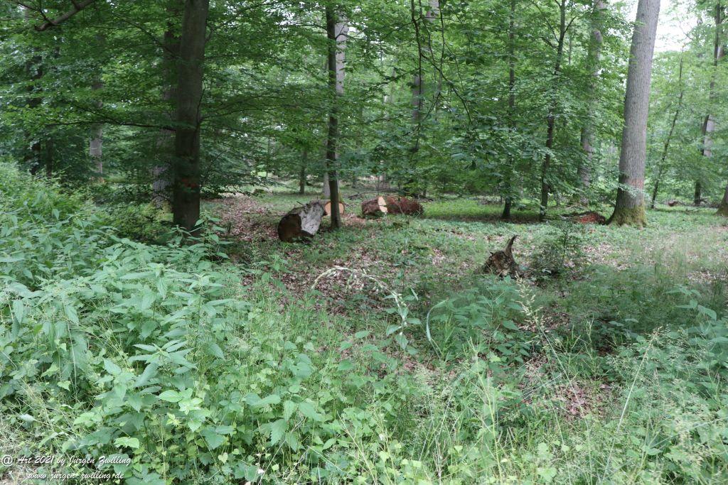 Philosophische Bildwanderung Vitaltour Wildgrafenweg - Hochstetten - Dhaun - Naheland - Rheinhessen