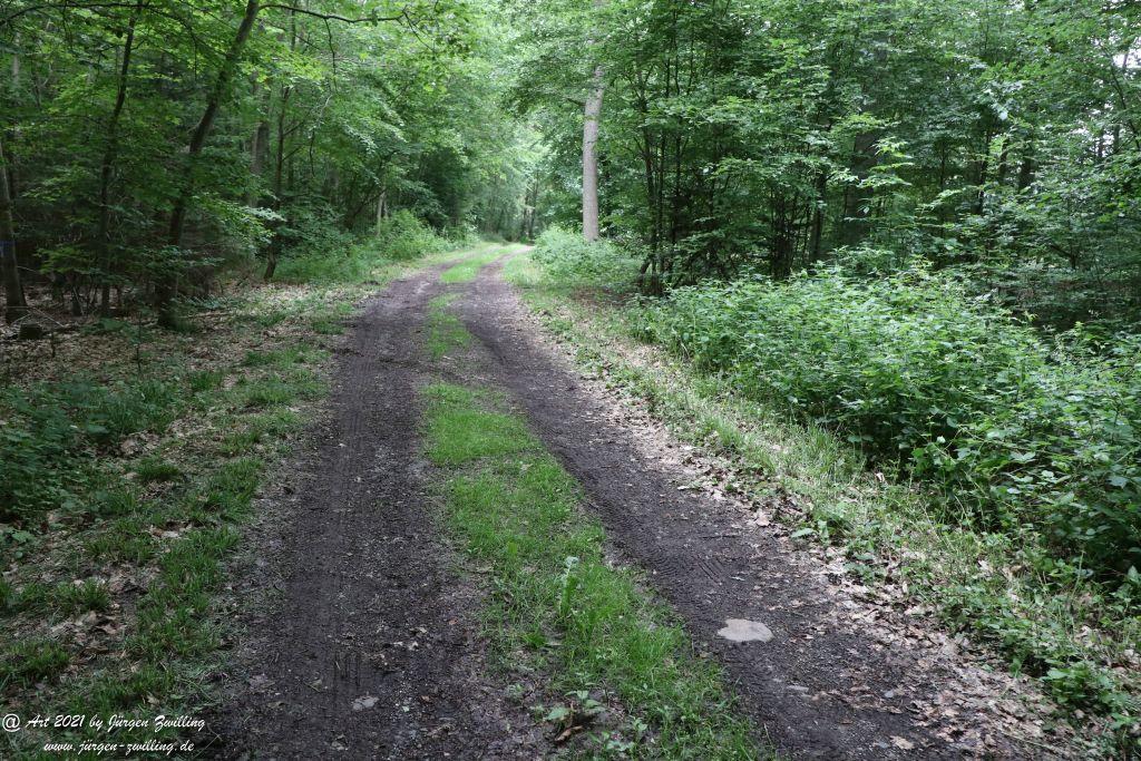 Philosophische Bildwanderung Vitaltour Wildgrafenweg - Hochstetten - Dhaun - Naheland - Rheinhessen