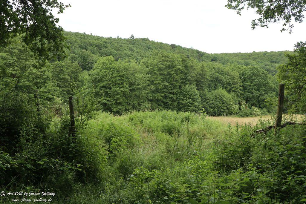 Philosophische Bildwanderung Vitaltour Wildgrafenweg - Hochstetten - Dhaun - Naheland - Rheinhessen