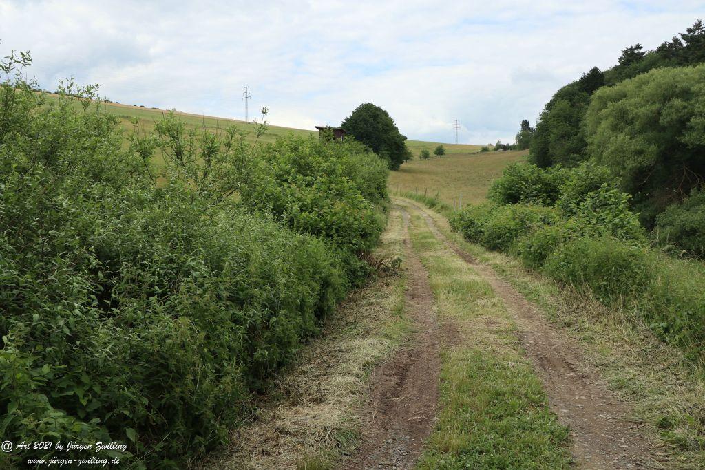 Philosophische Bildwanderung Vitaltour Wildgrafenweg - Hochstetten - Dhaun - Naheland - Rheinhessen