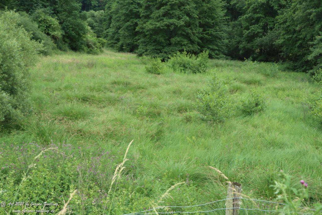 Philosophische Bildwanderung Vitaltour Wildgrafenweg - Hochstetten - Dhaun - Naheland - Rheinhessen