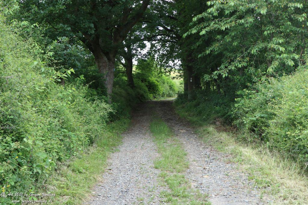 Philosophische Bildwanderung Vitaltour Wildgrafenweg - Hochstetten - Dhaun - Naheland - Rheinhessen