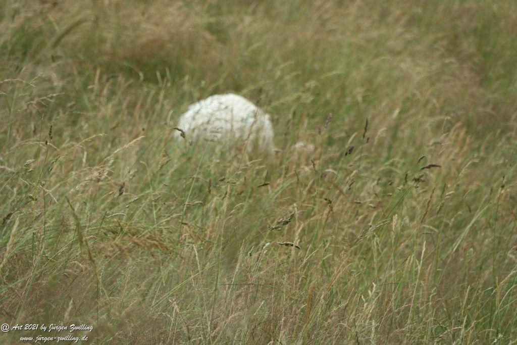 Philosophische Bildwanderung Vitaltour Wildgrafenweg - Hochstetten - Dhaun - Naheland - Rheinhessen