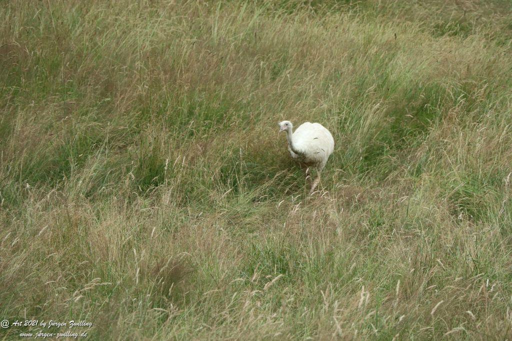 Philosophische Bildwanderung Vitaltour Wildgrafenweg - Hochstetten - Dhaun - Naheland - Rheinhessen
