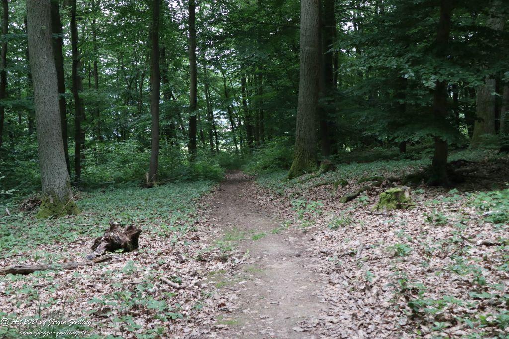 Philosophische Bildwanderung Vitaltour Wildgrafenweg - Hochstetten - Dhaun - Naheland - Rheinhessen