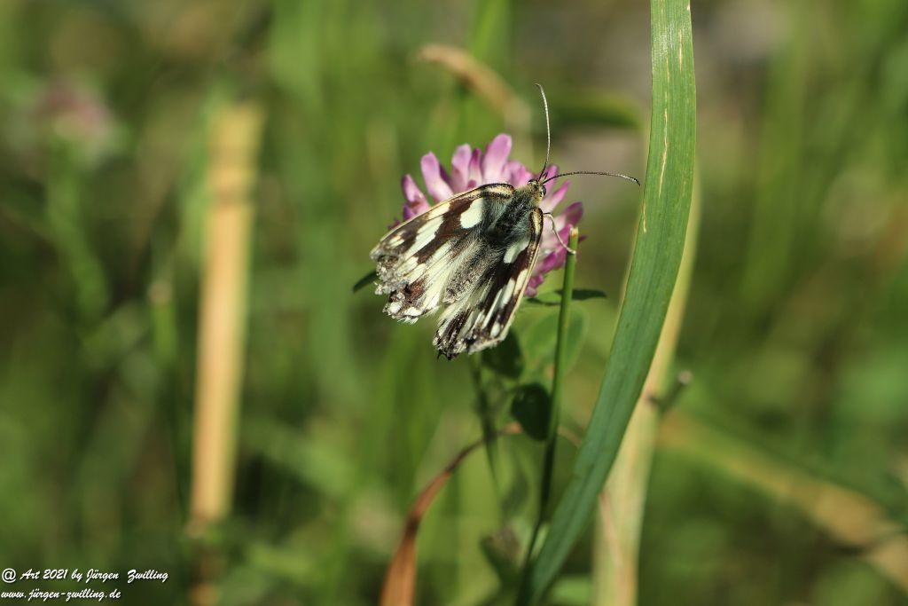 Philosophische Bildwanderung Vitaltour Eremitenpfad - Bretzenheim an der Nahe - Rheinhessen
