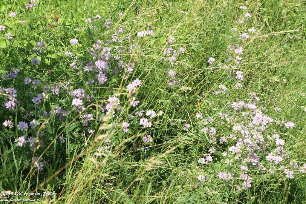 Philosophische Bildwanderung Vitaltour Eremitenpfad - Bretzenheim an der Nahe - Rheinhessen