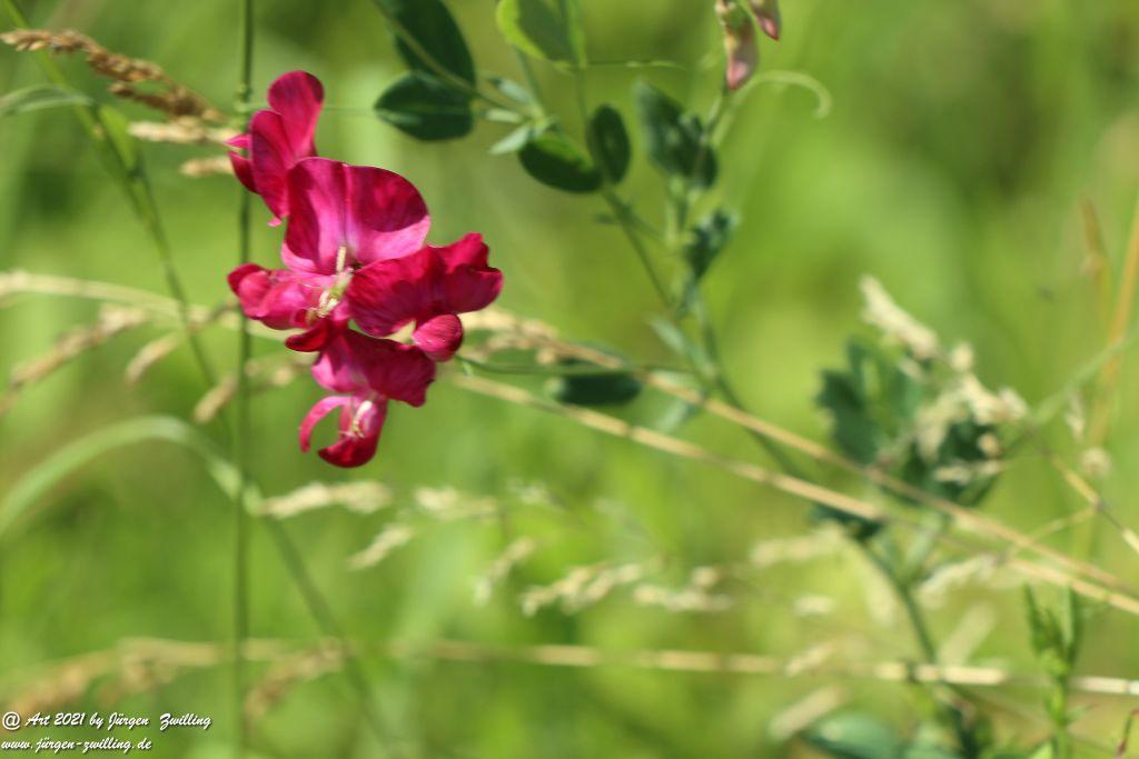 Philosophische Bildwanderung Vitaltour Eremitenpfad - Bretzenheim an der Nahe - Rheinhessen