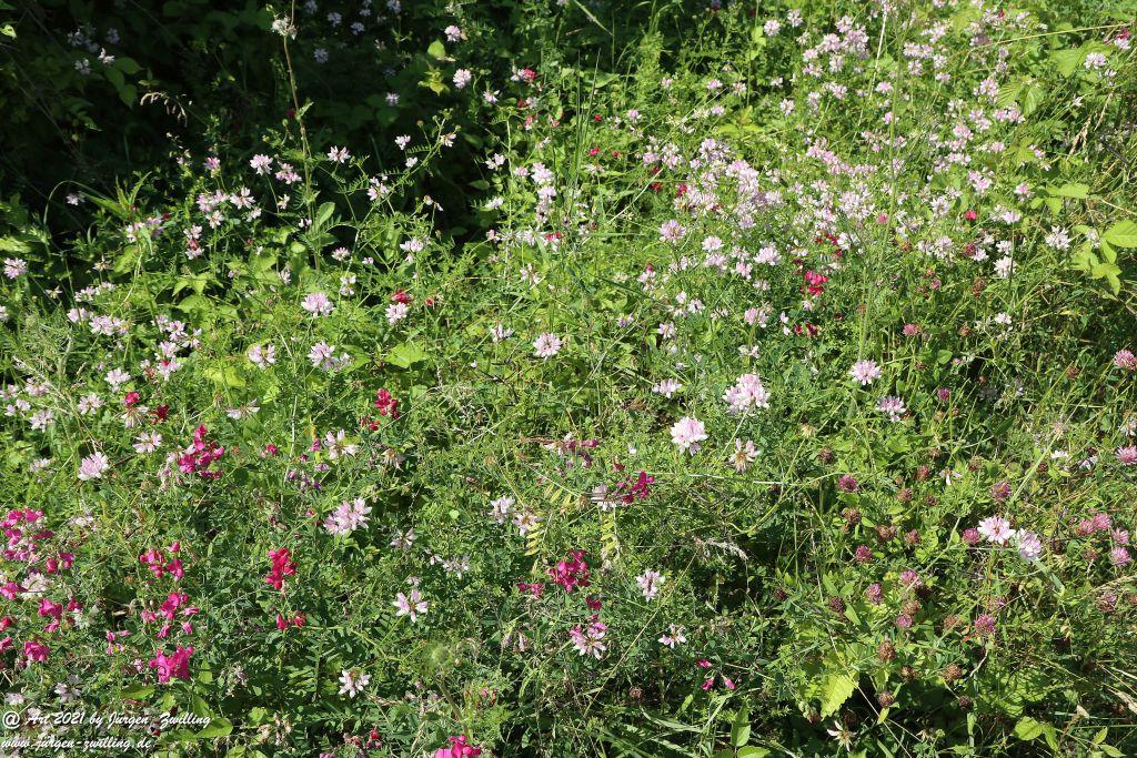Philosophische Bildwanderung Vitaltour Eremitenpfad - Bretzenheim an der Nahe - Rheinhessen